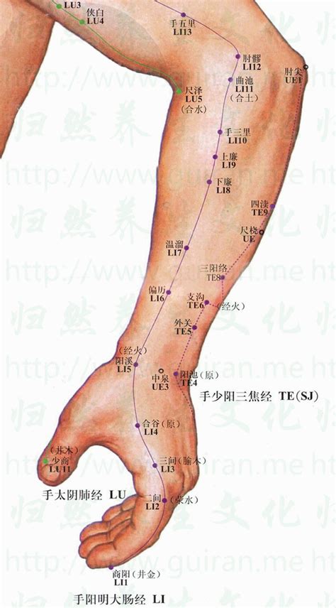 陽西穴|陽溪(陽溪穴):名稱釋義,功能作用,定位,解剖,主治,操作,。